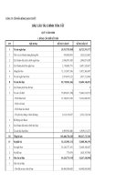 Báo cáo tài chính quý 3 năm 2008 - Công ty Cổ phần Bông Bạch Tuyết