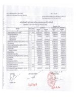 Báo cáo KQKD quý 3 năm 2012 - Công ty Cổ phần Chế biến và Xuất nhập khẩu Thuỷ sản Cà Mau