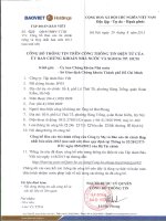 Báo cáo tài chính công ty mẹ quý 2 năm 2013 (đã soát xét) - Tập đoàn Bảo Việt