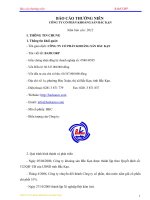 Báo cáo thường niên năm 2012 - Công ty Cổ phần Khoáng sản Bắc Kạn