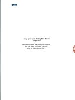 Báo cáo tài chính hợp nhất quý 2 năm 2013 (đã soát xét) - Công ty Cổ phần Đường Biên Hoà