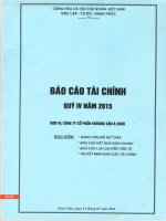 Báo cáo tài chính quý 4 năm 2015 - Công ty cổ phần Khoáng sản Á Châu