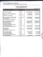 Báo cáo tài chính công ty mẹ quý 3 năm 2013 - Công ty Cổ phần Đầu tư Alphanam