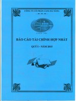 Báo cáo tài chính hợp nhất quý 1 năm 2015 - CTCP Cảng Đà Nẵng