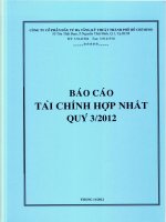 Báo cáo tài chính hợp nhất quý 3 năm 2012 - Công ty cổ phần Đầu tư Hạ tầng Kỹ thuật T.P Hồ Chí Minh