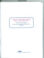 Báo cáo tài chính quý 2 năm 2015 - CTCP Cảng Chân Mây
