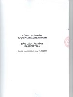 Báo cáo tài chính năm 2014 (đã kiểm toán) - CTCP Dược phẩm Agimexpharm