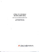 Báo cáo tài chính năm 2007 (đã kiểm toán) - Công ty Cổ phần Đường Biên Hoà