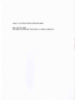 Báo cáo tài chính năm 2012 (đã kiểm toán) - Công ty Cổ phần Chứng khoán Bảo Minh