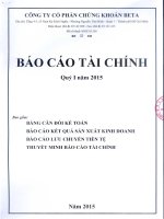 Báo cáo tài chính quý 1 năm 2015 - Công ty Cổ phần Chứng khoán BETA