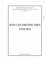 Báo cáo thường niên năm 2014 - Công ty cổ phần Cảng Cát Lái