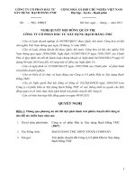 Nghị quyết Hội đồng Quản trị ngày 24-05-2011 - Công ty Cổ phần Đầu tư Xây dựng Bạch Đằng TMC