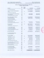 Báo cáo tài chính năm 2009 - Công ty Cổ phần Tập đoàn Công nghệ CMC