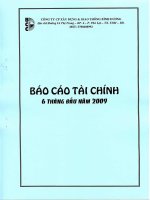 Báo cáo tài chính quý 2 năm 2009 - Công ty Cổ phần Xây dựng và Giao thông Bình Dương