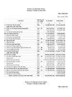 Báo cáo tài chính năm 2010 - Công ty Cổ phần Bia Hà Nội - Hải Phòng