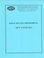 Báo cáo tài chính công ty mẹ quý 4 năm 2014 - Công ty Cổ phần Chiếu xạ An Phú