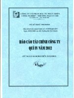 Báo cáo tài chính công ty mẹ quý 4 năm 2012 - Công ty Cổ phần Đầu tư Phát triển Công nghiệp - Thương mại Củ Chi