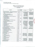 Báo cáo tài chính hợp nhất quý 4 năm 2010 - Công ty Cổ phần Nam Việt