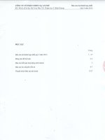 Báo cáo tài chính hợp nhất quý 2 năm 2015 - Công ty Cổ phần Chiếu xạ An Phú