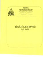 Báo cáo tài chính hợp nhất quý 4 năm 2012 - Công ty Cổ phần Xuất nhập khẩu Thủy sản An Giang
