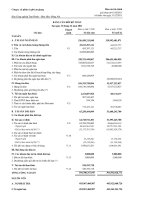 Báo cáo tài chính quý 4 năm 2011 - Công ty Cổ phần Cà phê An Giang