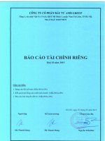 Báo cáo tài chính công ty mẹ quý 2 năm 2015 - Công ty cổ phần Đầu tư AMD Group
