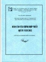 Báo cáo tài chính hợp nhất quý 4 năm 2012 - Công ty Cổ phần Đầu tư Phát triển Công nghiệp - Thương mại Củ Chi