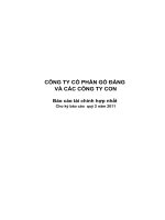 Báo cáo tài chính hợp nhất quý 2 năm 2011 - Công ty Cổ phần Gò Đàng