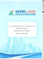 Báo cáo tài chính công ty mẹ quý 1 năm 2014 - Công ty Cổ phần Đầu tư và Phát triển Nhà đất COTEC