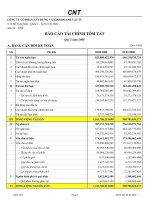 Báo cáo tài chính quý 2 năm 2008 - Công ty Cổ phần Xây dựng và Kinh doanh Vật tư