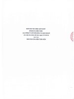 Báo cáo tài chính hợp nhất năm 2015 (đã kiểm toán) - Công ty cổ phần Đầu tư AMD Group