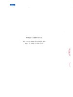 Báo cáo tài chính năm 2010 (đã kiểm toán) - CTCP Âu Lạc