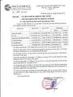 Báo cáo tài chính hợp nhất quý 2 năm 2013 - Công ty cổ phần Thế kỷ 21