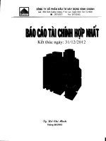Báo cáo tài chính hợp nhất quý 4 năm 2012 - Công ty Cổ phần Đầu tư Xây dựng Bình Chánh