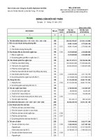 Báo cáo tài chính công ty mẹ quý 1 năm 2012 - Công ty Cổ phần Alphanam E&C