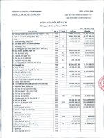 Báo cáo tài chính quý 1 năm 2013 - Công ty cổ phần Khoáng sản Bình Định