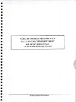 Báo cáo tài chính hợp nhất năm 2015 (đã kiểm toán) - Công ty Cổ phần Đầu tư BVG