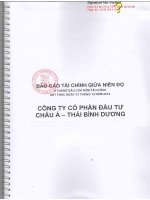 Báo cáo tài chính công ty mẹ quý 2 năm 2014 (đã soát xét) - Công ty Cổ phần Đầu tư Châu Á - Thái Bình Dương