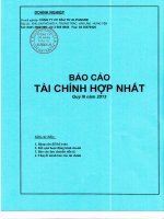 Báo cáo tài chính hợp nhất quý 3 năm 2013 - Công ty Cổ phần Đầu tư Alphanam