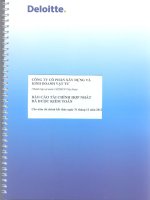 Báo cáo tài chính hợp nhất năm 2012 (đã kiểm toán) - Công ty Cổ phần Xây dựng và Kinh doanh Vật tư