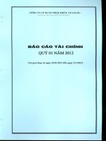 Báo cáo tài chính quý 1 năm 2012 - Công ty cổ phần Xuất nhập khẩu An Giang