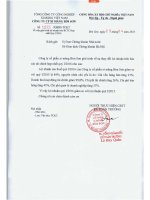 Báo cáo tài chính hợp nhất quý 1 năm 2016 - Công ty Cổ phần Xi măng Bỉm Sơn