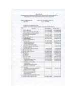 Báo cáo tài chính quý 1 năm 2008 - Công ty Cổ phần Thủy sản Bạc Liêu