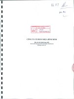 Báo cáo tài chính quý 2 năm 2010 (đã kiểm toán) - Công ty Cổ phần Nhựa Bình Minh