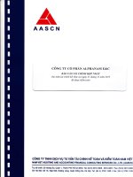 Báo cáo tài chính hợp nhất năm 2013 (đã kiểm toán) - Công ty Cổ phần Alphanam E&C