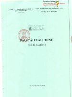 Báo cáo tài chính công ty mẹ quý 4 năm 2013 - Công ty Cổ phần Đầu tư Châu Á - Thái Bình Dương