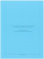 Báo cáo tài chính quý 1 năm 2015 -  Công ty Cổ phần Tư vấn thiết kế và Phát triển đô thị