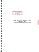 Báo cáo tài chính quý 2 năm 2010 (đã kiểm toán) - Công ty Cổ phần Chiếu xạ An Phú