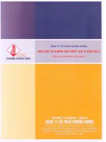 Báo cáo tài chính hợp nhất quý 2 năm 2012 - Công ty Cổ phần Chương Dương