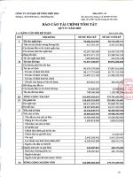 Báo cáo tài chính quý 4 năm 2009 - Công ty Cổ phần Bê tông Biên Hòa